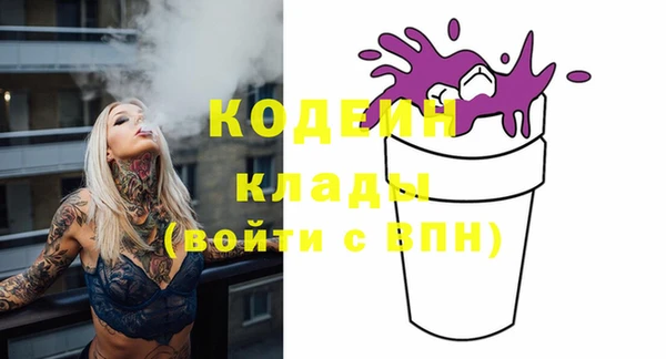 молекула духа Волосово
