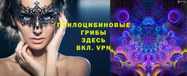 молекула духа Волосово