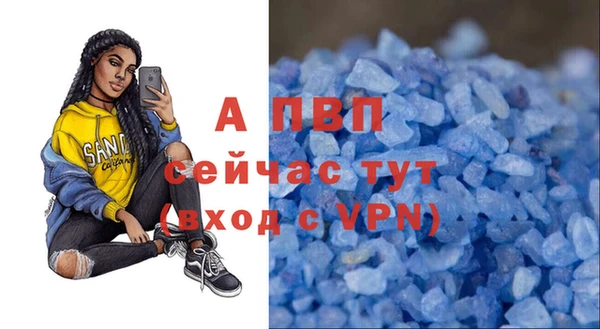 стаф Волоколамск