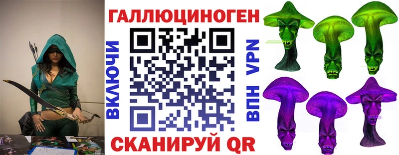 Псилоцибиновые грибы Psilocybine cubensis  Купить где  Кондрово 
